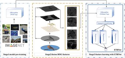 Blind detection of circular image rotation angle based on ensemble transfer regression and fused HOG